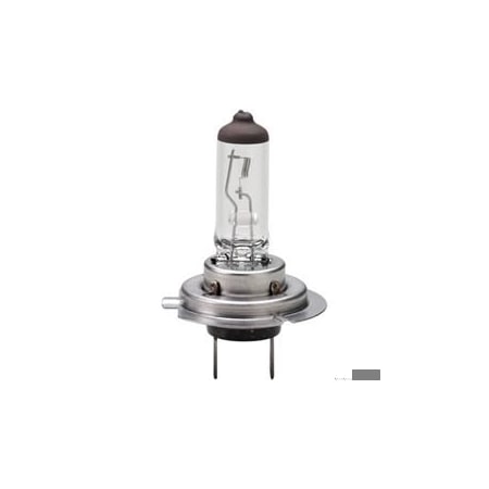 Replacement For Audi A6, A6 Quattro With Halogen H/L, 2005 Low/Dual Light